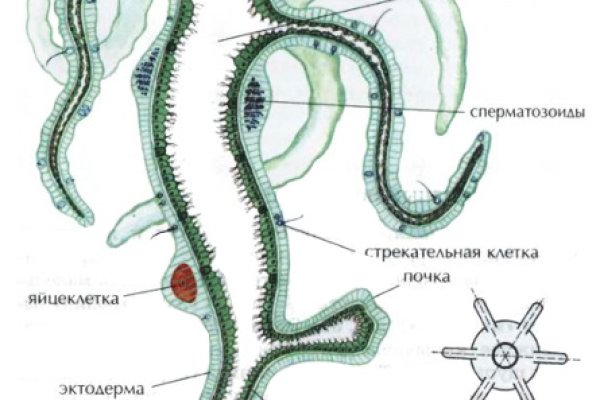 Кракен шоп зеркало