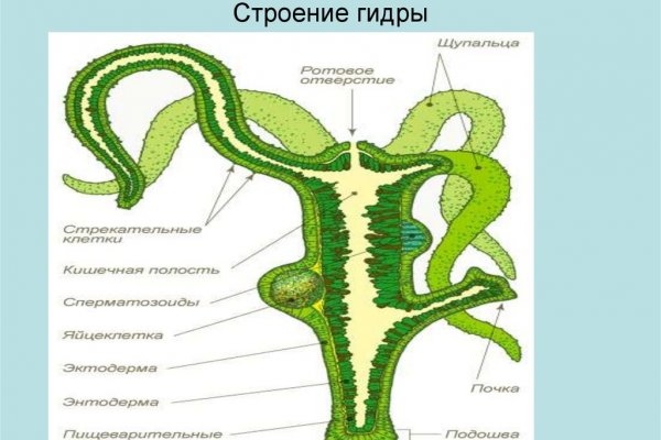 Дарк маркетплейс кракен