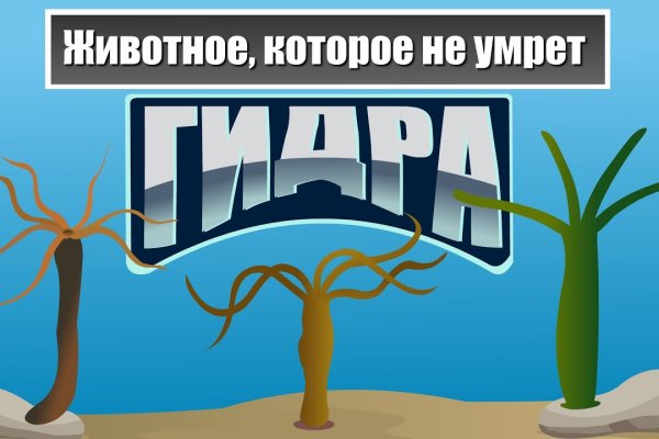 Кракен официальное зеркало 2024